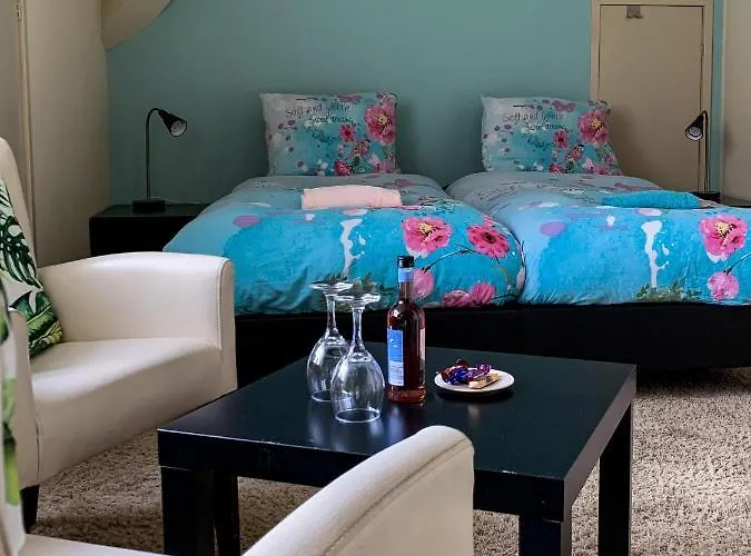 Kluiskade 24 בית הארחה